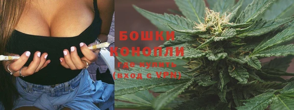 бутират Белокуриха